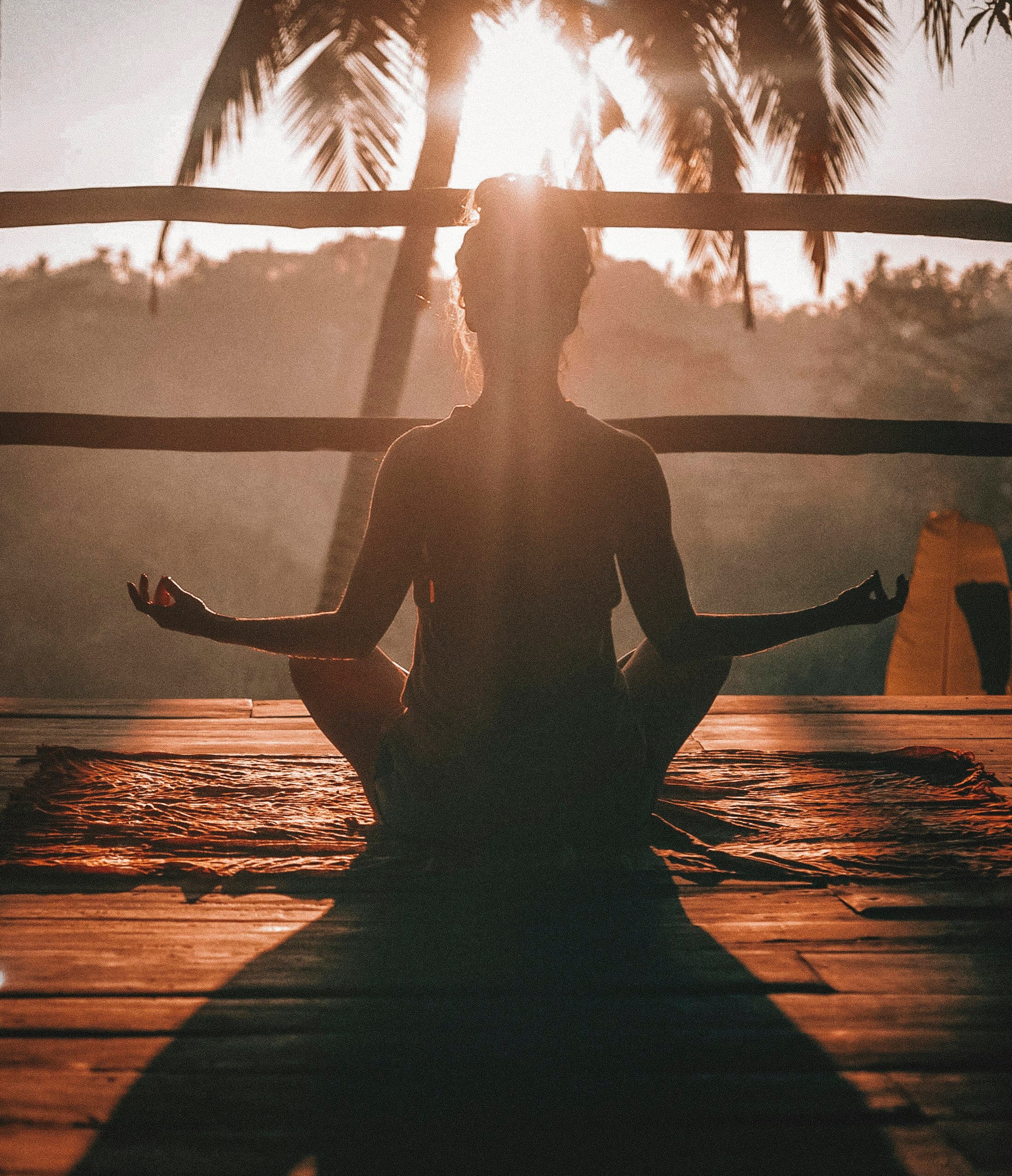 Dopamine Detox Blueprint: Re-Engineering Your Brain for Relentless Focus